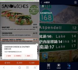 手机浏览器上线智能翻译 一触即通的无缝沟通新时代